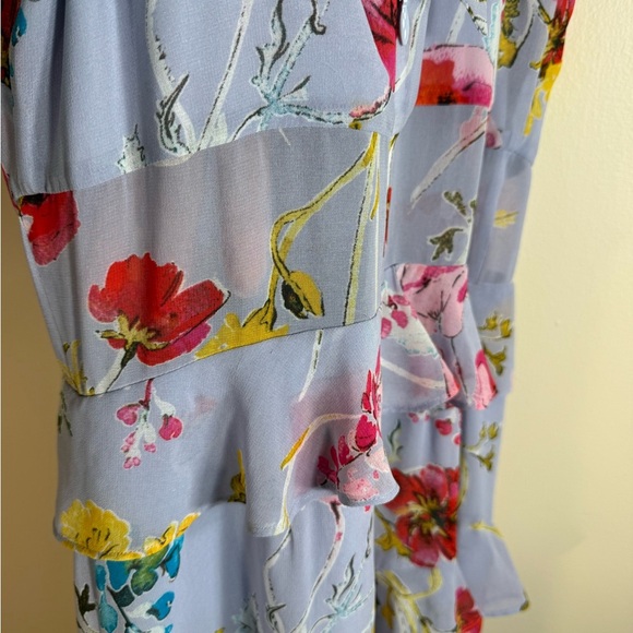 Rachelle Roy floral maxi, ruffles great movement semi sheer at waist size 0 - Picture 4 of 11